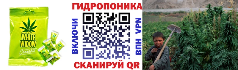 Canna-Cookies марихуана  Шахты 