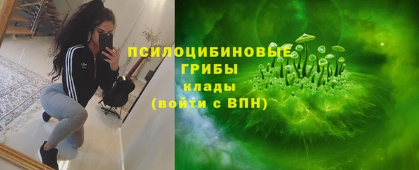 винт Богородицк